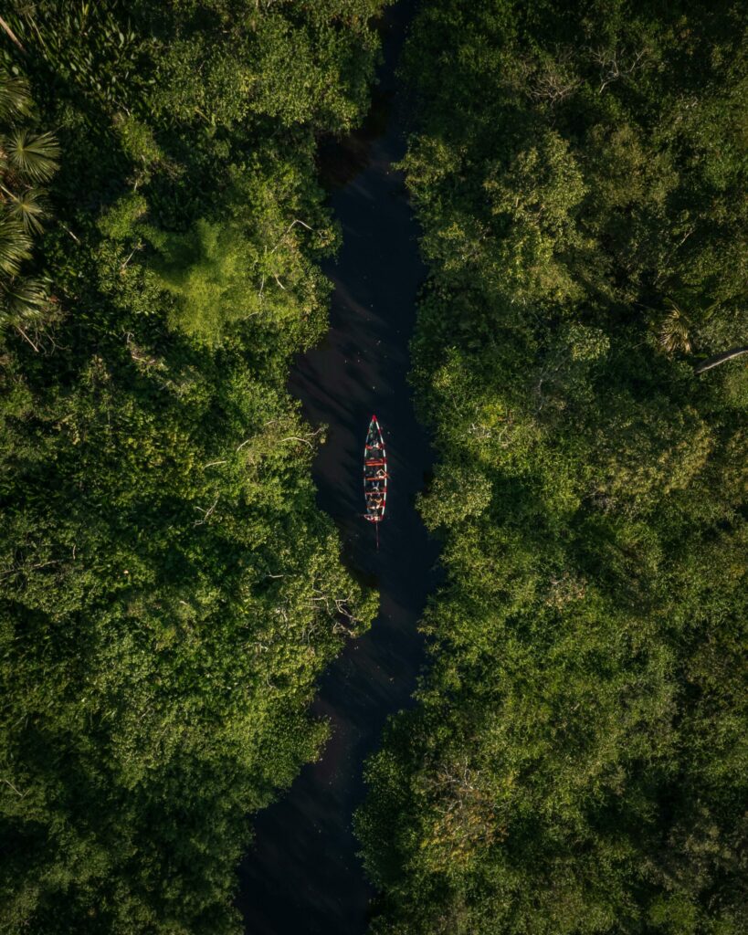 Richness of the Peruvian Amazon forest