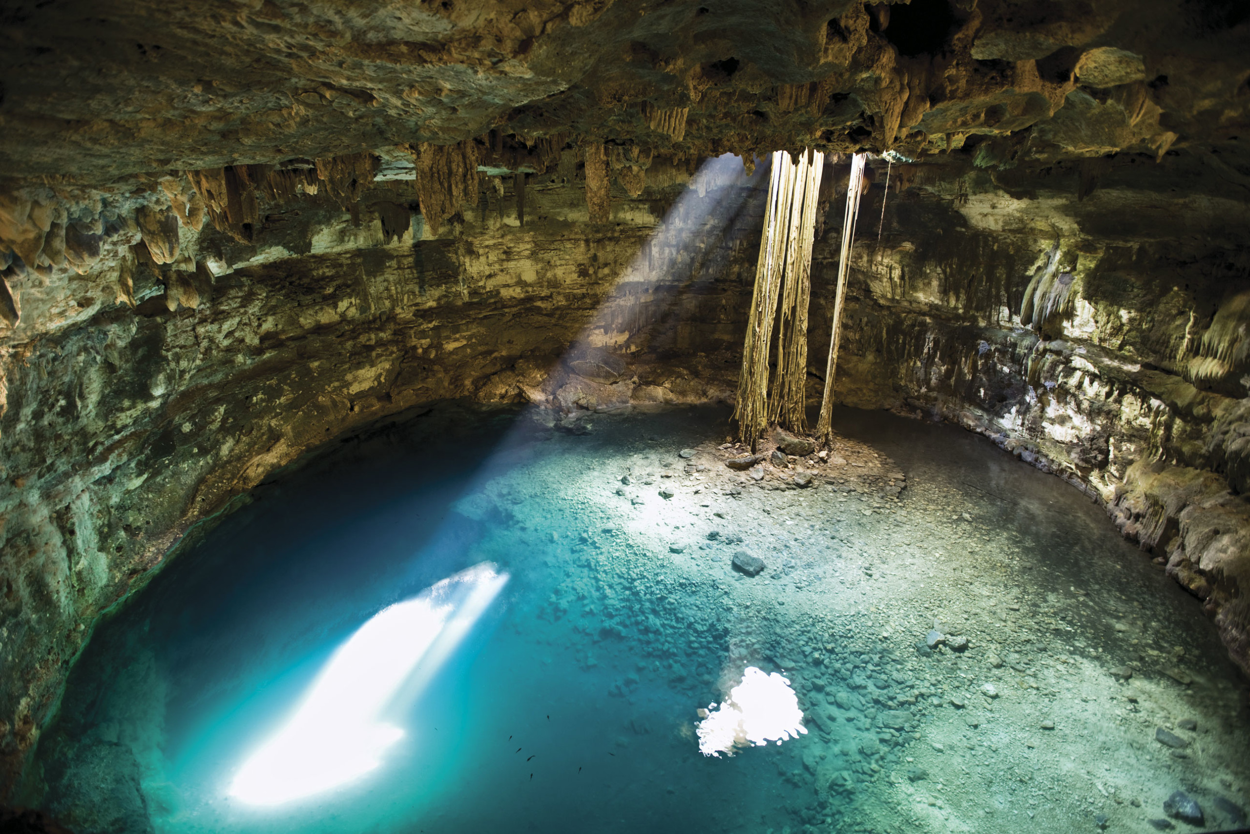 Journey Cenote