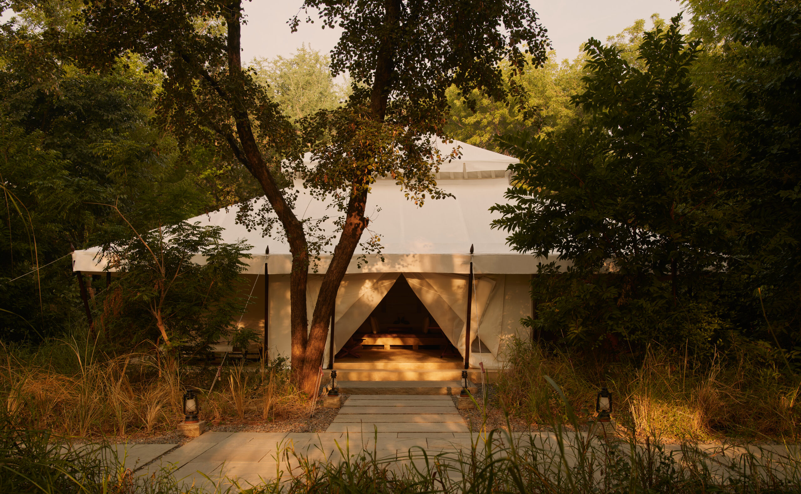 Aman-i-khas Ranthambore: This Rajasthan luxury camping is high art