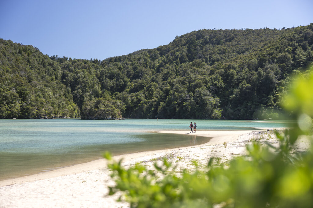 A scenic section of the Abel Tasman National Park