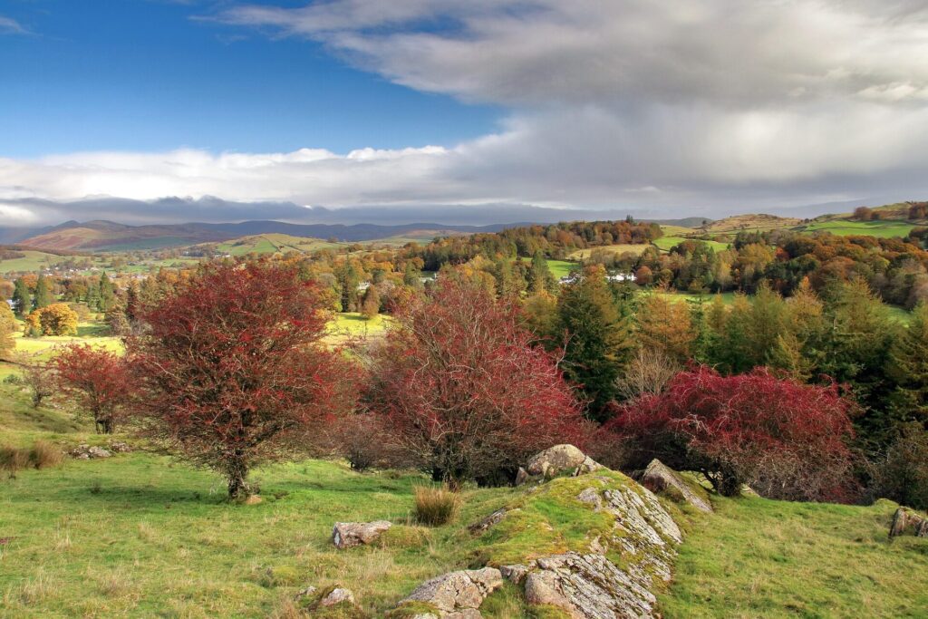 Lake District in Cumbria during autumn